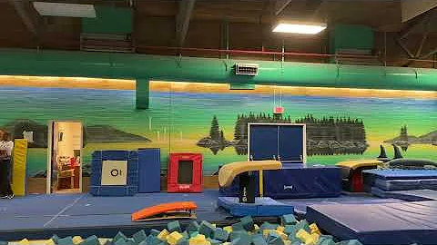 Juliet McDaniel ExcelGold Vault1