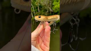 Fishing With A Giant SNAKE Lure… 