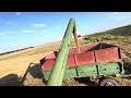 Adio Grâule Ne Vedem La Anul 24 07 2025 Adio Grâule Ne Vedem La Anul 24 07 2025