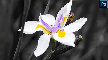 How to remove colour from a photo - Photoshop Tutorial Anthony Lam Photography Edits