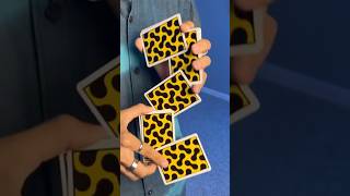 Werm Cardistry Tutorial!