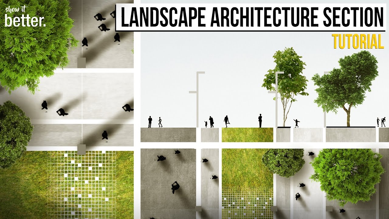 Landscape Architecture Section And Plan In Photoshop Tutorial Youtube