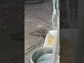 Pasaba esto y yo ni en cuenta 😨