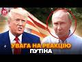 😮Путін ШОКУВАВ відповіддю Трампу! Увірвався із НЕГАЙНОЮ заявою. Це ВІДЕО розриває мережу. НАЙКРАЩЕ