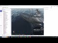 CADMATIC eShare for Marine: Dynamic Hierarchies