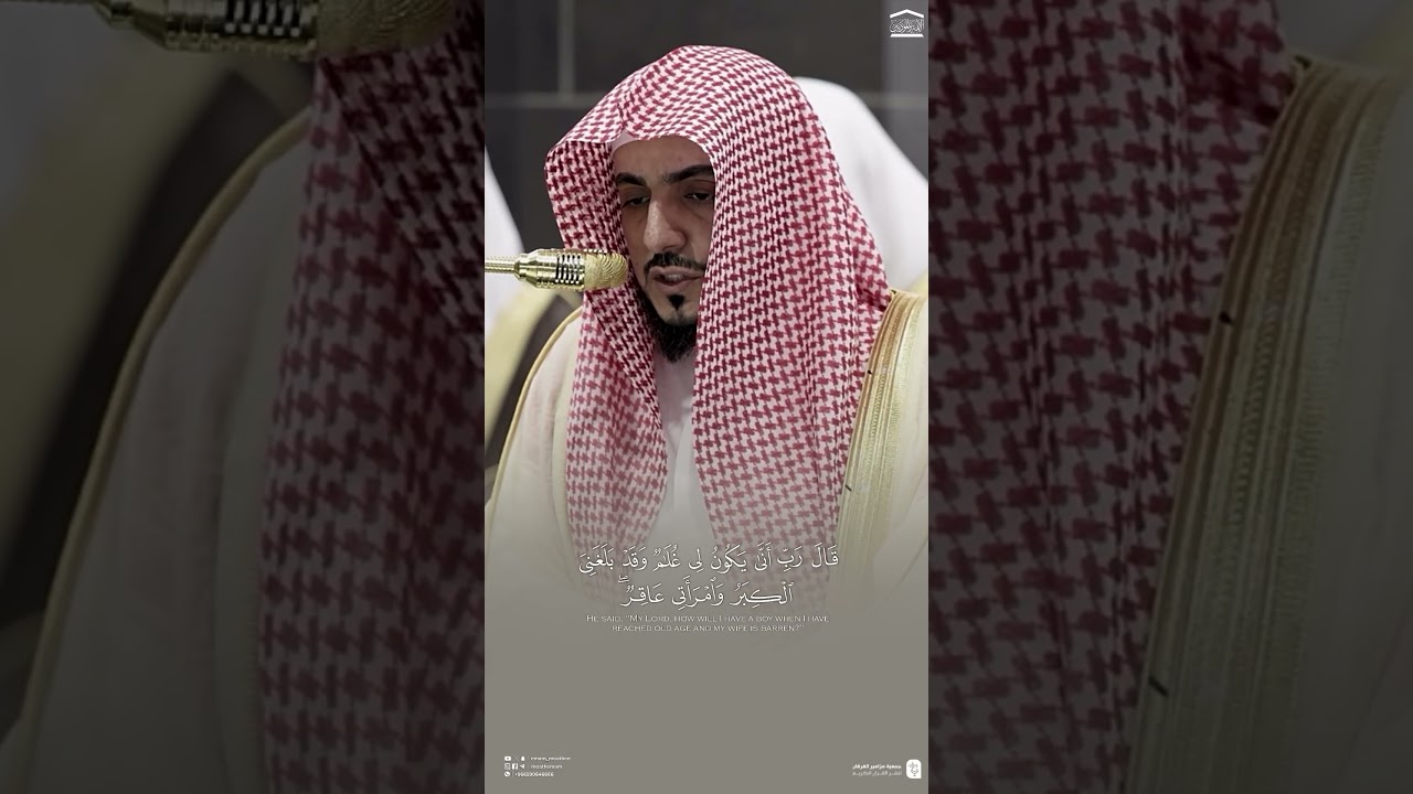 مقتطف من تلاوة الشيخ د. الوليد الشمسان ليلة 4 رمضان 1446هـ