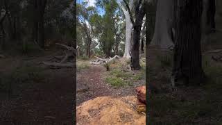 Greenmount National Park