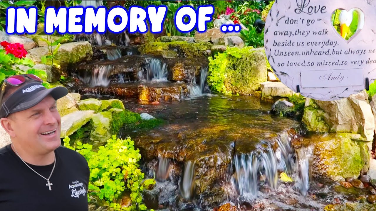 Memorial Pond and Waterfalls in the Backyard - YouTube