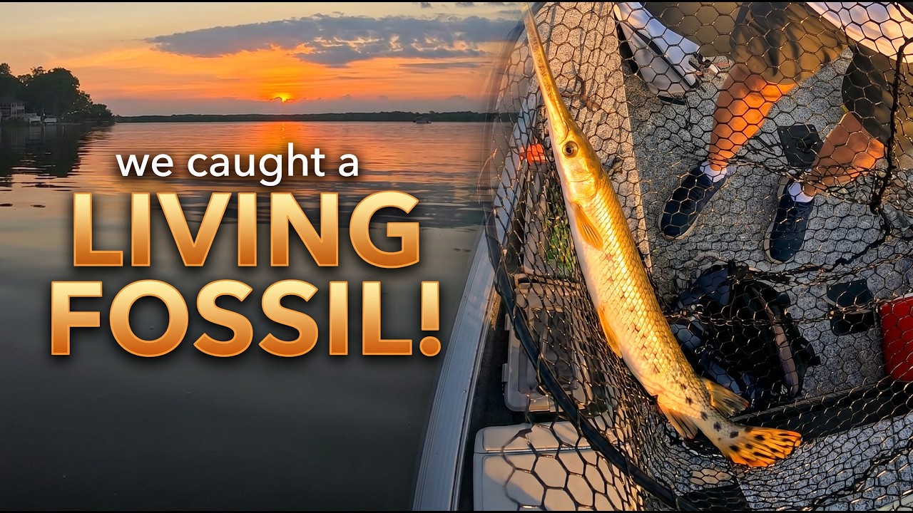 Unexpected Longnose Gar Catch | Tichigan Lake Fishing