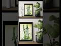 #plants #painting #bambooplant #speedpaint #nikon #india #youtubeshorts