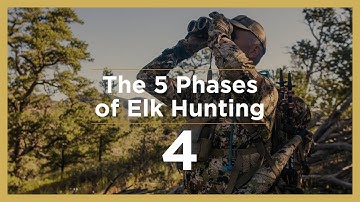 POST-RUT | The 5 Phases of Elk Hunting