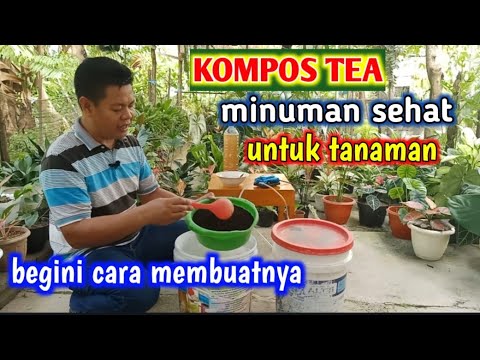 Video: Informasi Pembuatan Teh Kompos