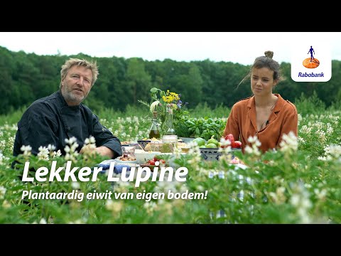 Video: Eetbare Lupine Zaden