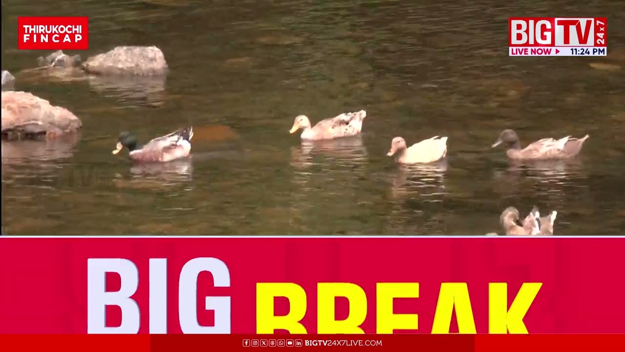 നാടിന്‍റെ മുഖച്ഛായ മാറ്റിയ നെട്ടറ പാലം; ജനങ്ങള്‍ക്ക് ആശ്വാസമായി കിഫ്ബി | Nettara | KIIFB