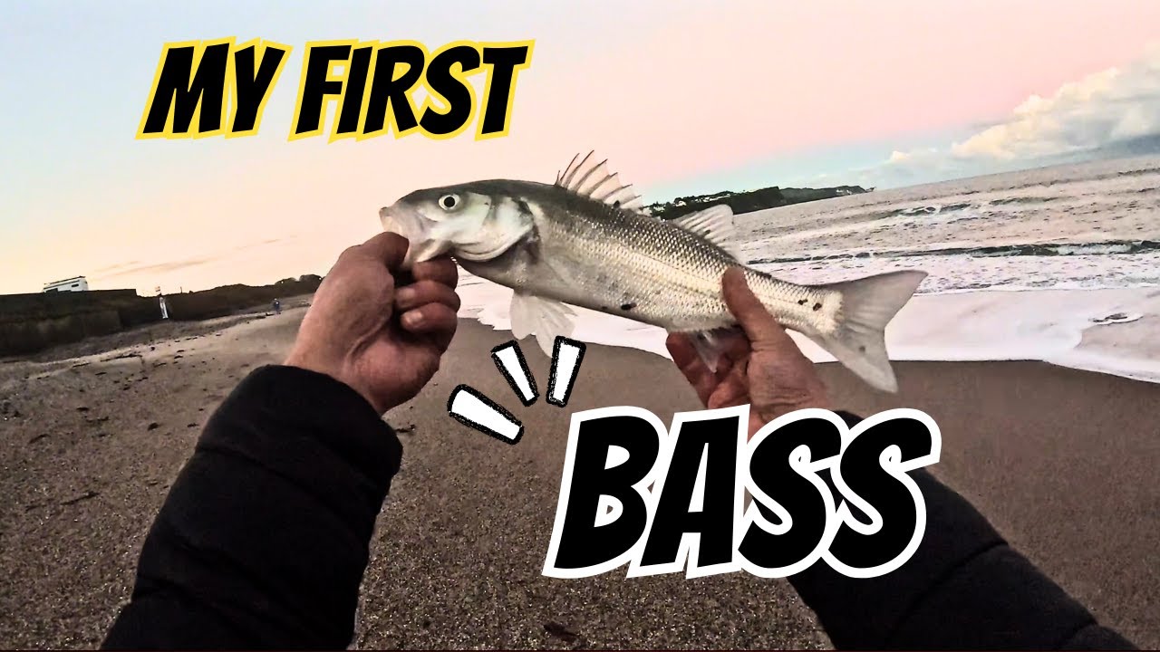Early Morning Bass Fishing UK | First Catch at Ballycastle