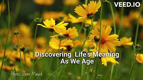 Discovering Life's Meaning As We Age