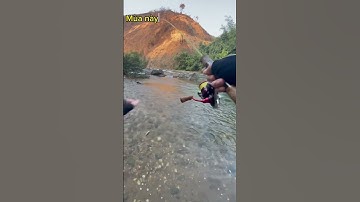 Mùa này đi lội suối câu cá hợp lí quá ae nhỉ #cauca #fishing #caulure #minhquangmomthu