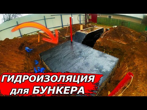 Бейне: 5 әйгілі корольдік ханымдар