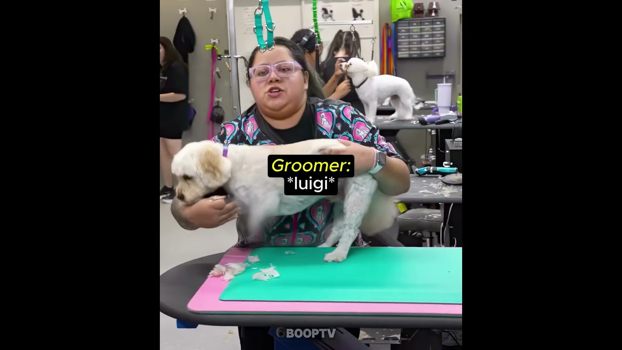 She Messed Up This Dog's Haircut