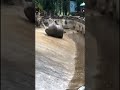 وحيد القرن واحلى طيحه ههههه 