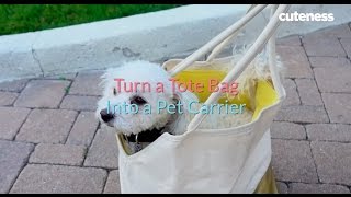 How to Turn Your Tote into a Pet Carrier  Cuteness.com