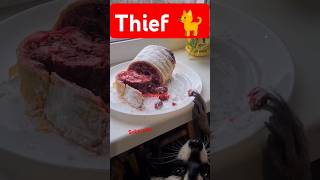 Thief