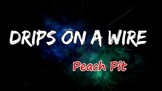 Peach Pit - Drips on a Wire (Lyrics)