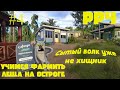 Путь новичка в Русской рыбалке 4. 4 Серия. Учимся фармить леща