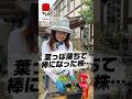 葉っぱ落ちて棒になった株… #相原バラ園 #バラの育て方