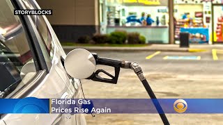 Aaa Florida Gas Prices Rise Again