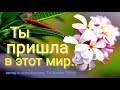 "Ты пришла в этот мир.."  Песня ко дню рождения, под акустическую гитару.