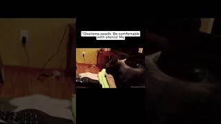 When Silence Feels Like a Threat 😹