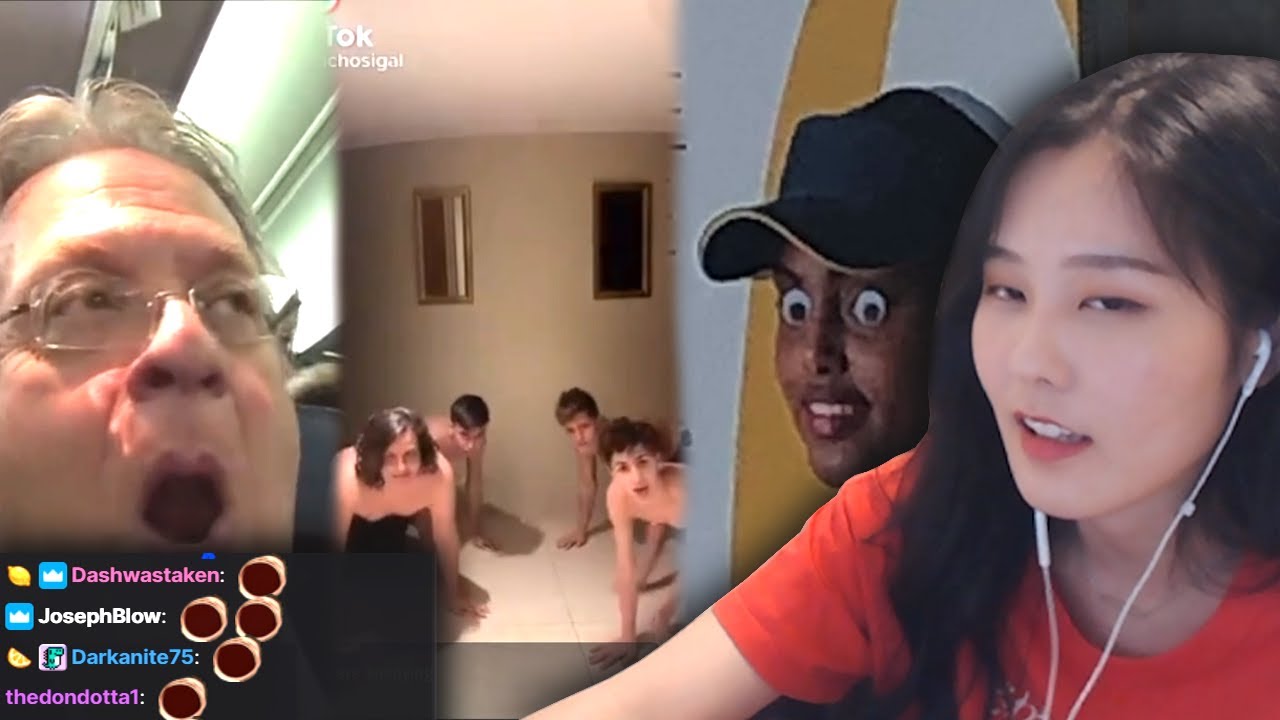 reddit memes that actually made 39daph laugh part 3 | daph reacts