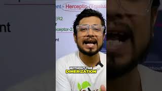 Preventing Cancer Growth  How Herceptin Antibody Inhibits HER II Receptor Dimerization