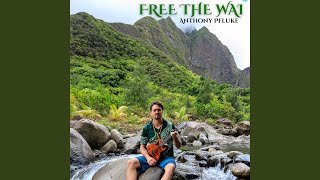 Free the Wai