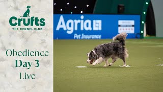 Obedience Day 3 LIVE | Dog Obedience Championship | Crufts 2024