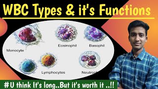 WBC Types & it's Function || Blood Physiology ||Lectures||MBBS ||hindi|| Ashish