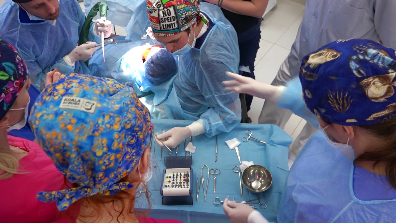 PRACTICULUM IMPLANTOLOGII SEZON VII A SESJA 6 ZABIEG 8 PRACTICULUM IMPLANTOLOGII SEZON VII A SESJA 6 ZABIEG 8