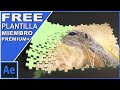 Plantillas FREE Prémium + "PUZZLE 3D enrollable con imágenes" (PRÉMIUM+)