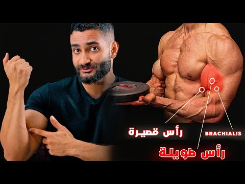 افضل 5 تمارين مثبتة علميا لتضخيم عضلة البايسبس