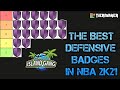 THE BEST DEFENSE / REBOUNDING BADGES IN NBA 2K21 - BADGES RANKED - PRO AM / PARK
