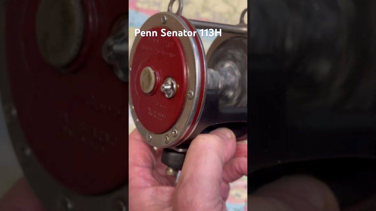 Penn Senator 113H Fishing Reel Of The Day