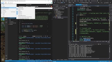 RS232 Communication (4) - Linux-Windows Serial Communication in a Virtual Machine