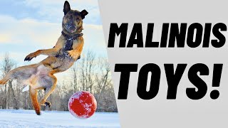TOYS I Give My MALINOIS When We're NOT TRAINING!! screenshot 4