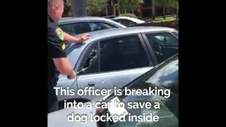 Police Save Dog From Inside 110+ Degree Car