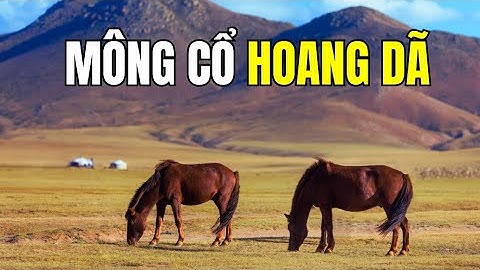 5 Loài Động Vật Kỳ Lạ Chỉ Có Ở Mông Cổ – Bạn Biết Mấy?”#tgdv #mongolia #matmathiennhien #animals