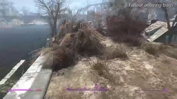 Fallout 4 Bug (Please fix these already Bethesda!)