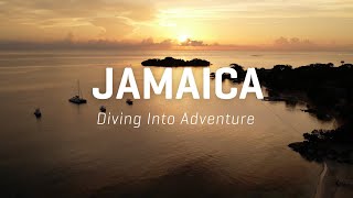 Dive Into Jamaica's Submerged Airplanes, Coral Reefs and Wonderful Wetlands