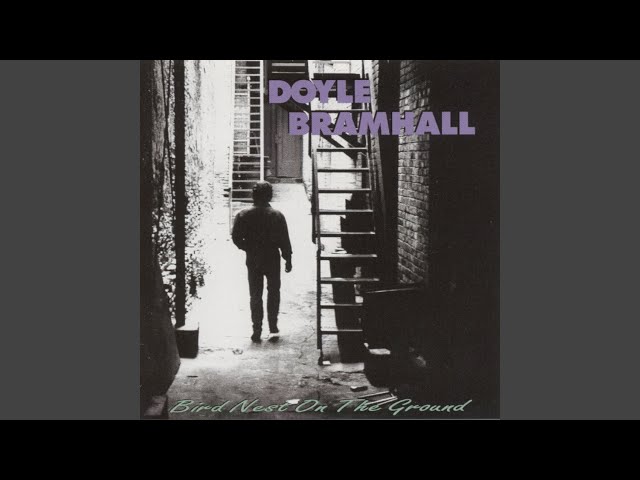 Doyle Bramhall - She's Gone