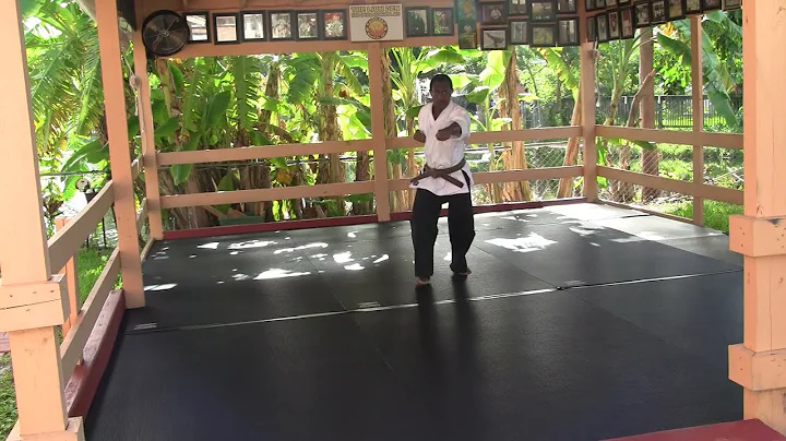 Kai-Do Kan Taikyoku Sono Ichi Kata demonstrated by...